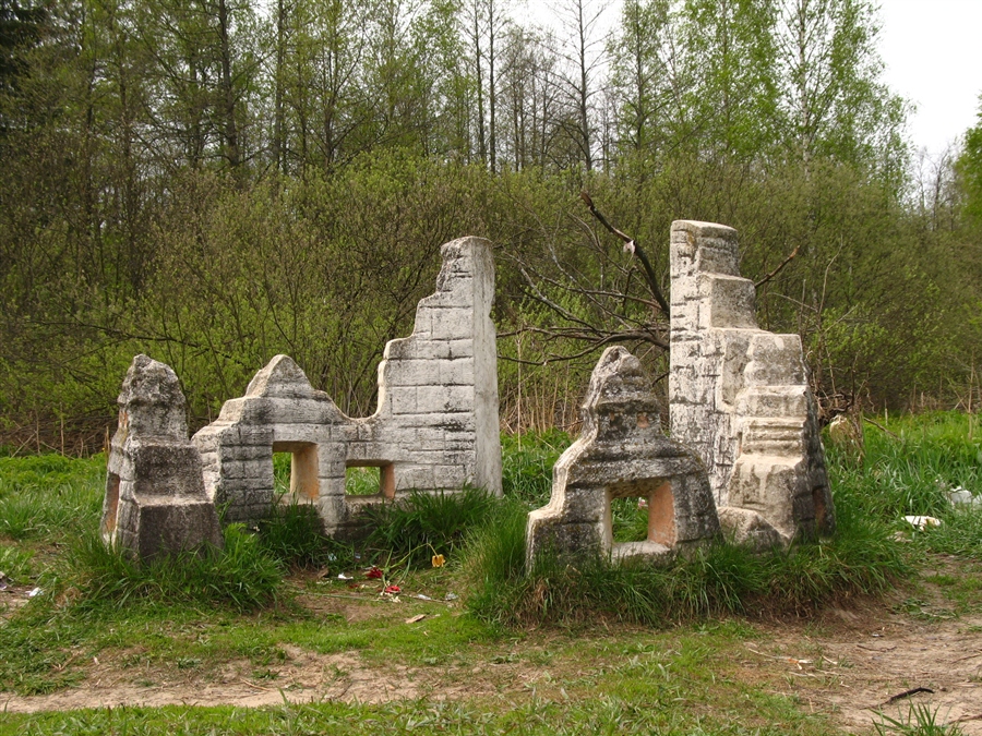 Фото жизнь