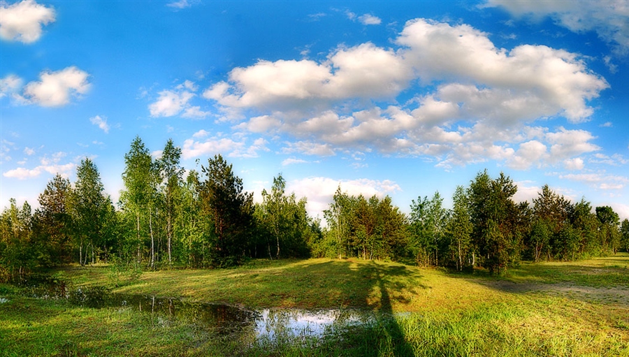 Фото жизнь