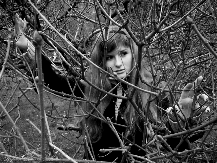 Фото жизнь (light) - Malena - ПОРТРЕТЫ - ...сквозь тернии...