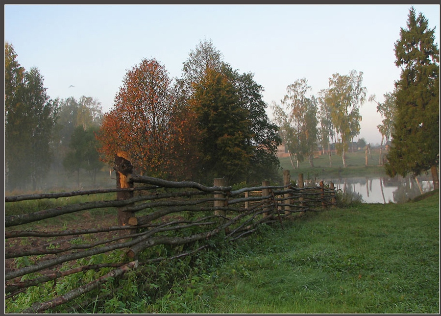 Фото жизнь