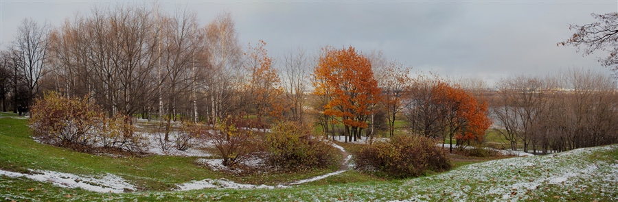 Фото жизнь