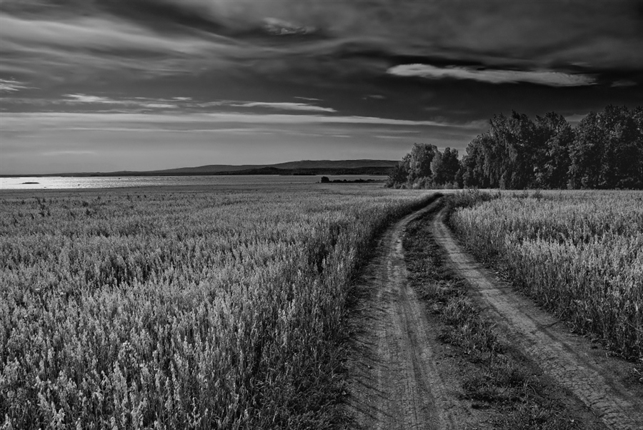 Фото жизнь
