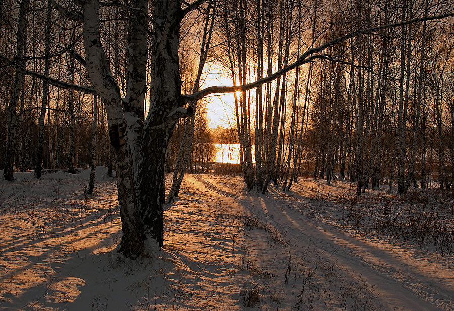 Фото жизнь (light) - Анатолий Медер - Места родные. - ***