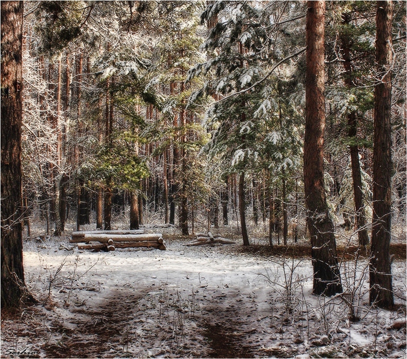 Фото жизнь