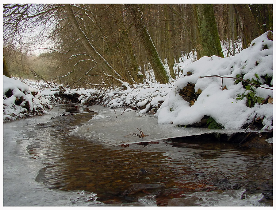 Фото жизнь - mystera - Winter Landschaft. - 29 Февраля 2004 год.