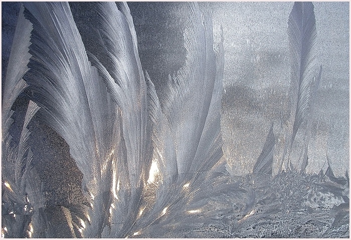 Фото жизнь (light) - Arisa - корневой каталог - ледниковый период
