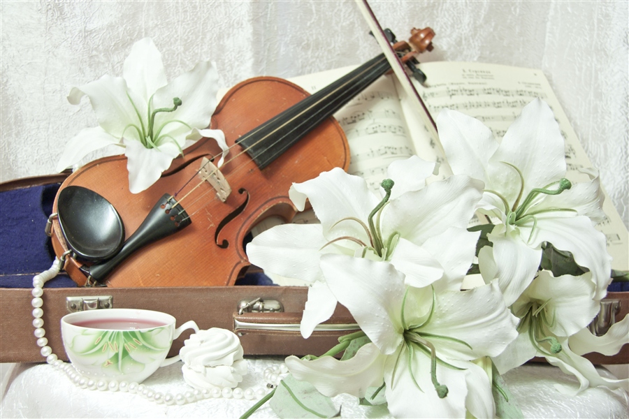 Поздравление С Днем Рождения Учителю Скрипки