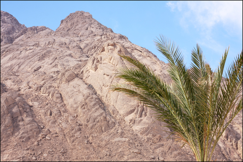 Фото жизнь (light) - Антонина Морозова - Природа - Краски пустыни