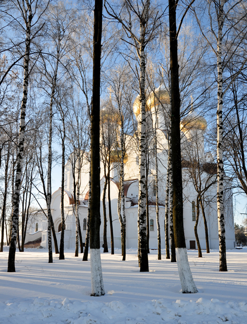 Фото жизнь