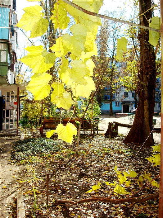 Фото жизнь