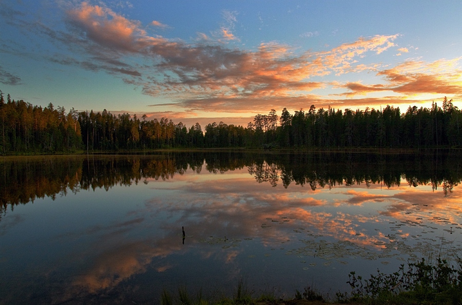 Фото жизнь