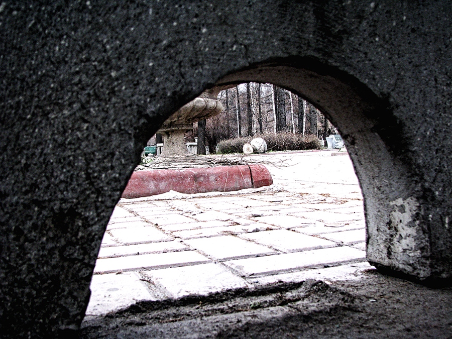 Фото жизнь