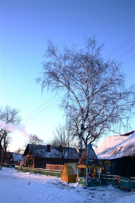 Фото жизнь
