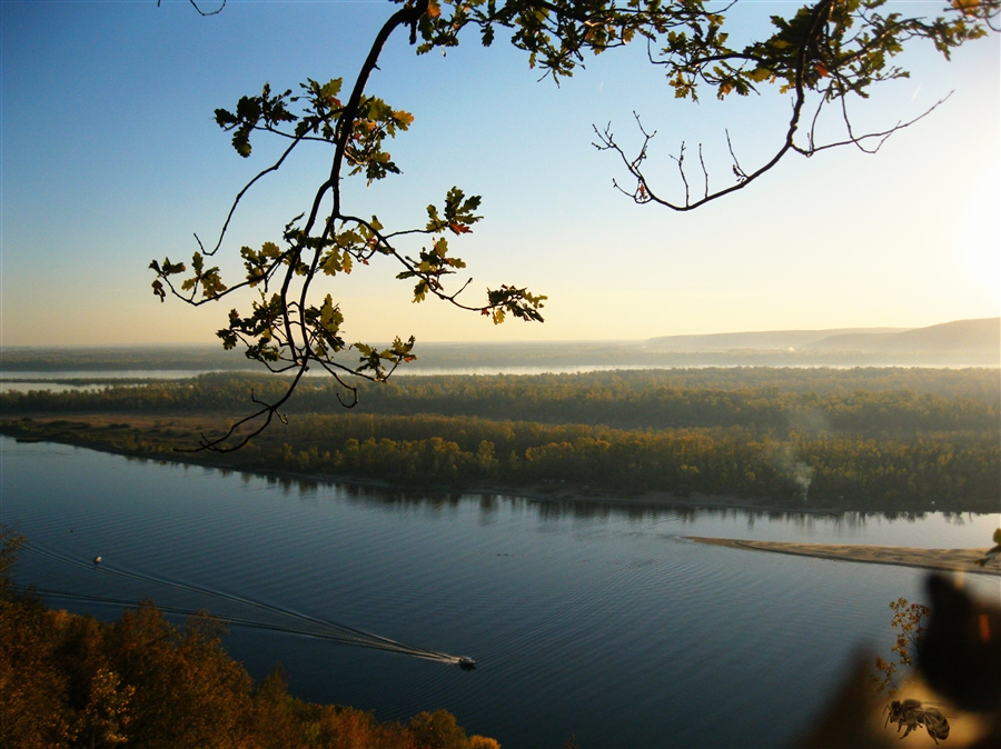 Фото жизнь