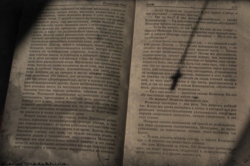 Фото жизнь (light) - Елена Бредихина - Мои странности - В поисках Эдема...