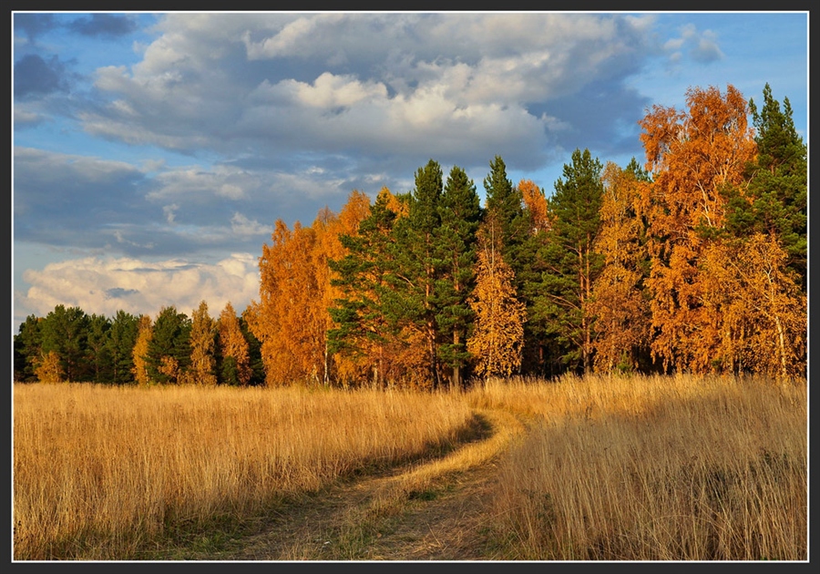Фото жизнь