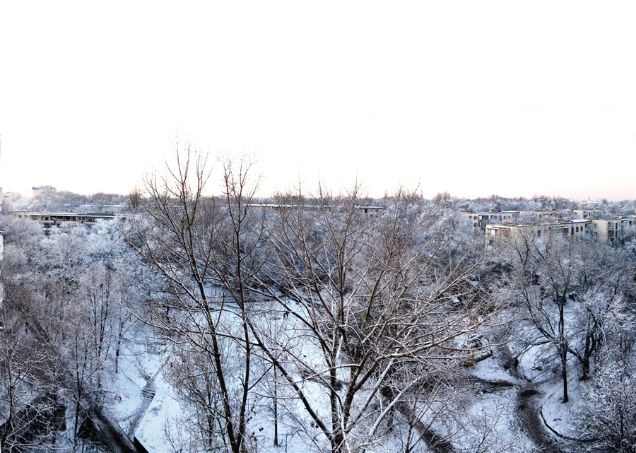 Фото жизнь