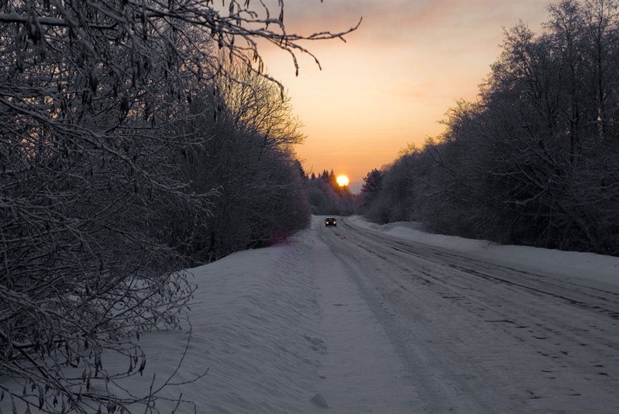 Фото жизнь