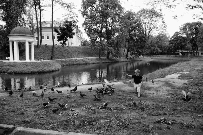 Фото жизнь (light) - chveta_neba - бег сезонов - гонять голубей