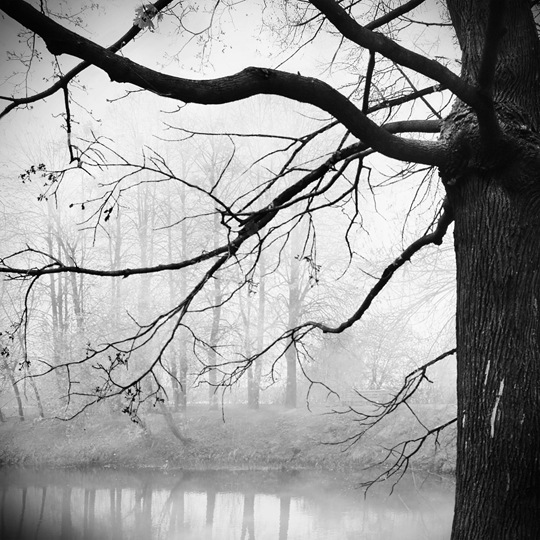 Фото жизнь (light) - kulikova - корневой каталог - б/н