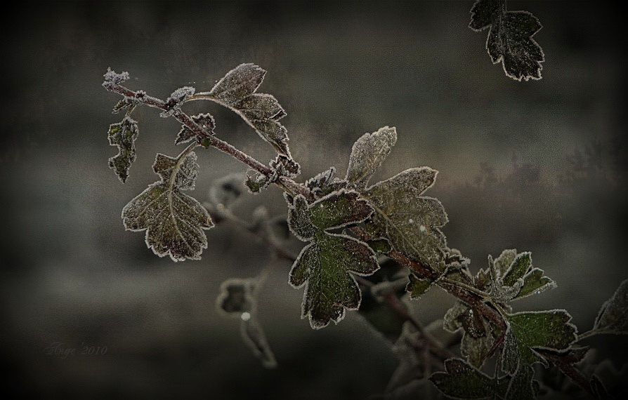 Фото жизнь - Angela Wojtowska  - Природа, пейзаж - каменная леди,ледяная сказка...вместо сердца-камень,вместо чувства-маска...