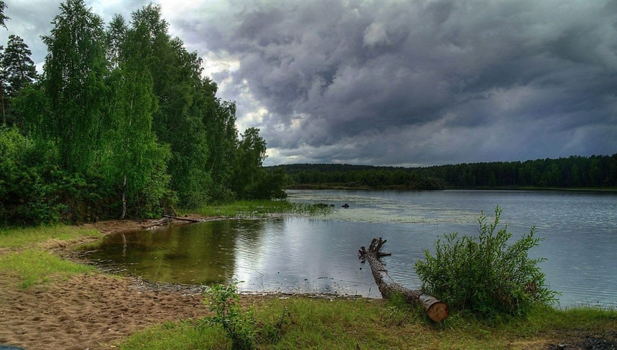 Фото жизнь