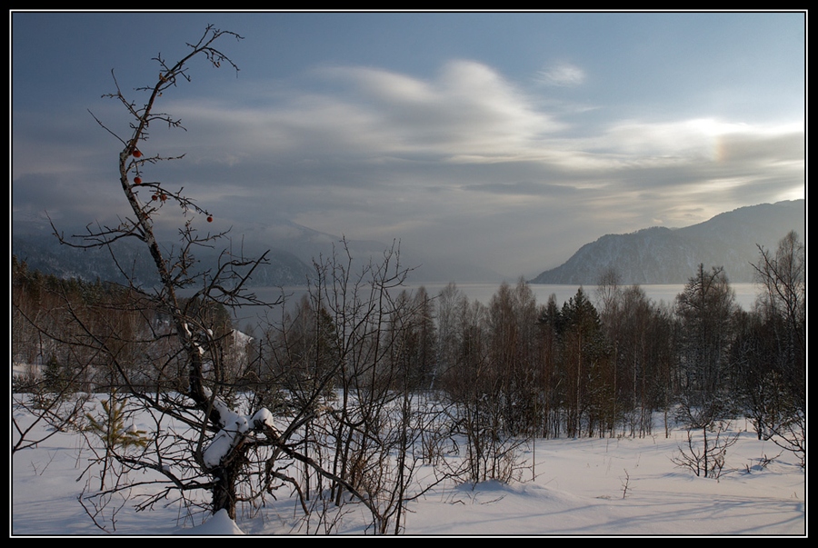 Фото жизнь