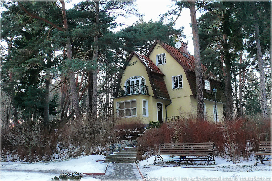 Фото жизнь (light) - Алексей Певнев - корневой каталог - Домик средь сосен