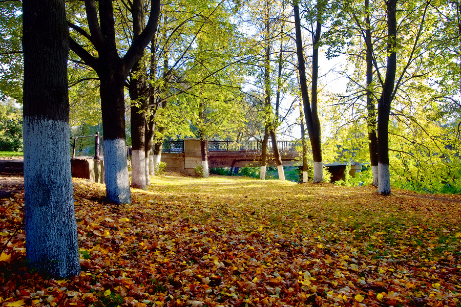 Фото жизнь (light) - VecherovSky - корневой каталог - Осень...