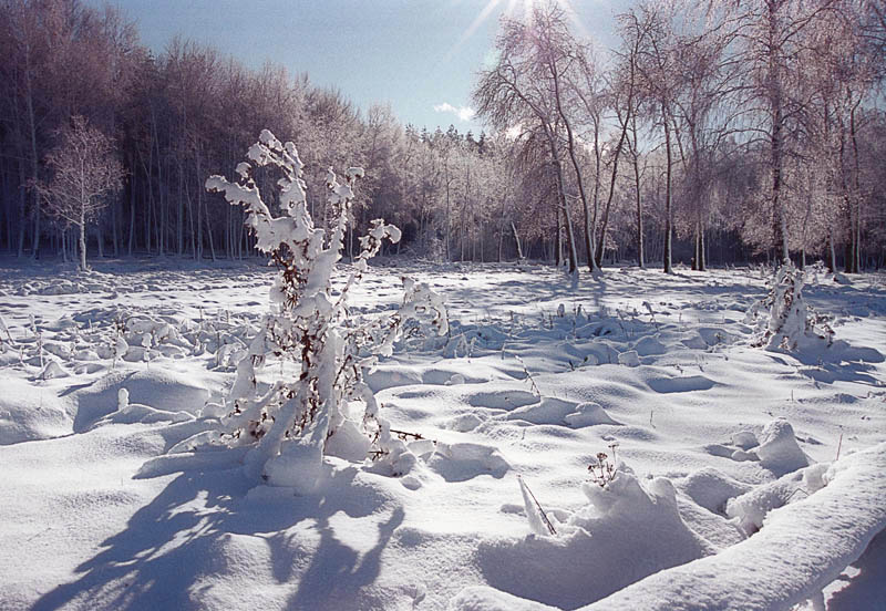 Фото жизнь - Виктор Гаев - Пейзаж - Мороз и солнце