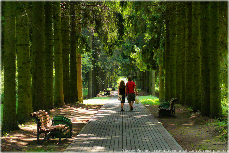 Фото жизнь (light) - Алексей Певнев - корневой каталог - Двое
