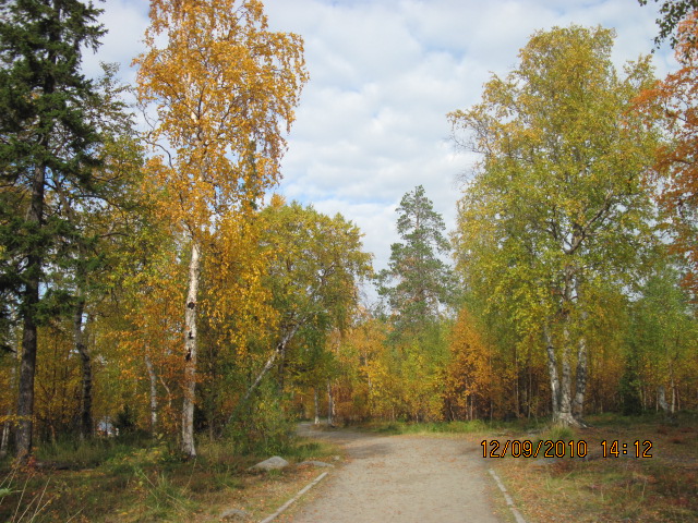 Фото жизнь