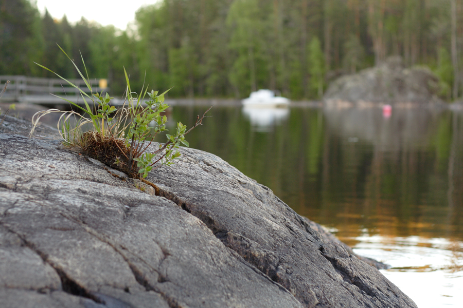 Фото жизнь (light) - Алексей Подать - корневой каталог - #50