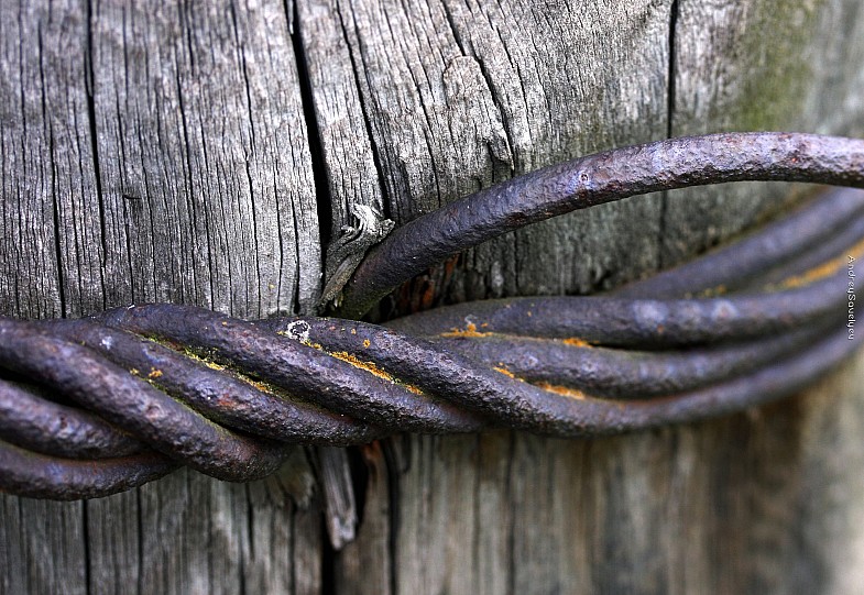 Фото жизнь (light) - AndreySavelyev - корневой каталог - Вены