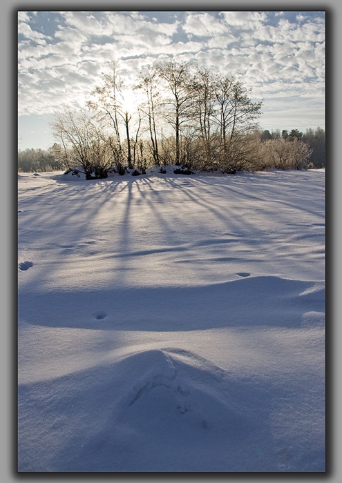 Зимняя утренняя