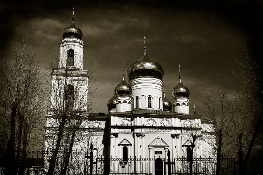 Фото жизнь