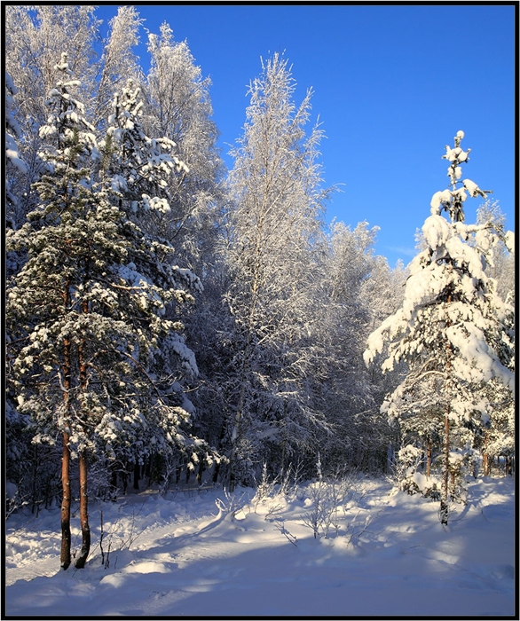 Фото жизнь
