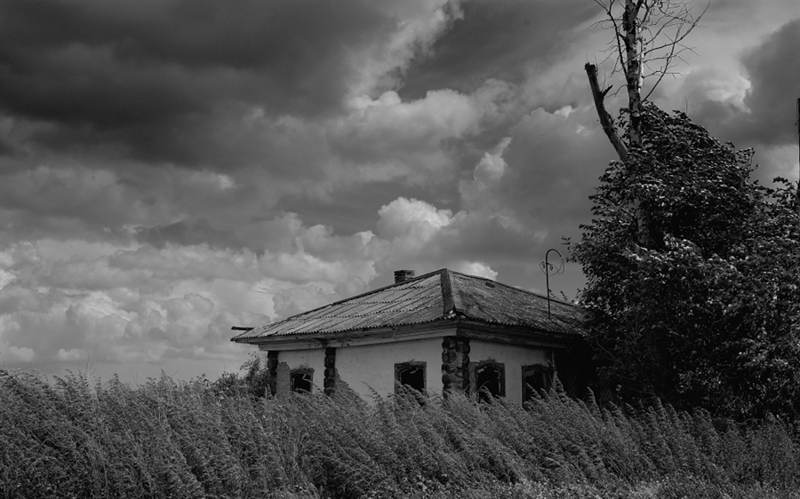 Фото жизнь