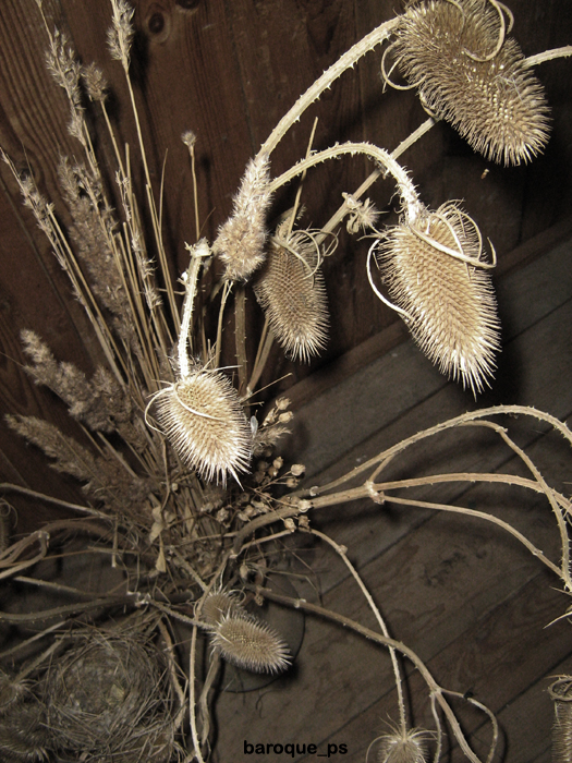 Фото жизнь (light) - sergey_barokko - корневой каталог - другая жизнь