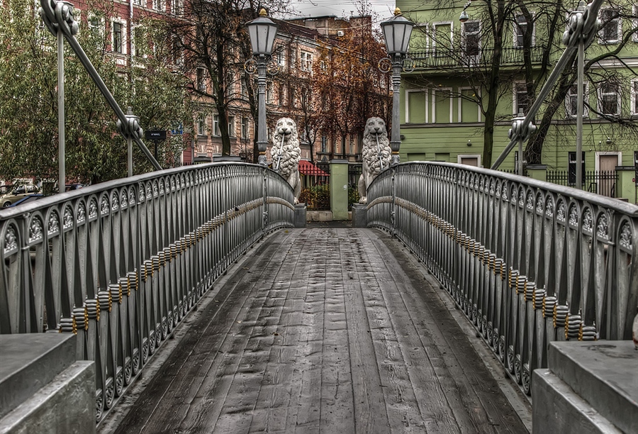 Фото жизнь