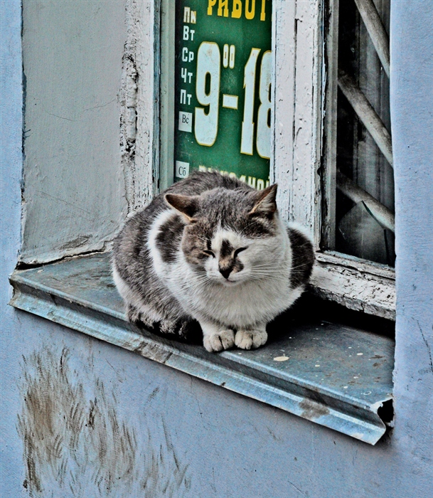 Фото жизнь