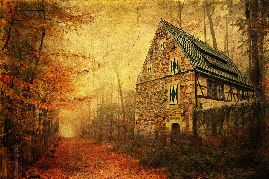 Фото жизнь