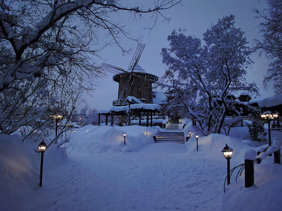 Фото жизнь