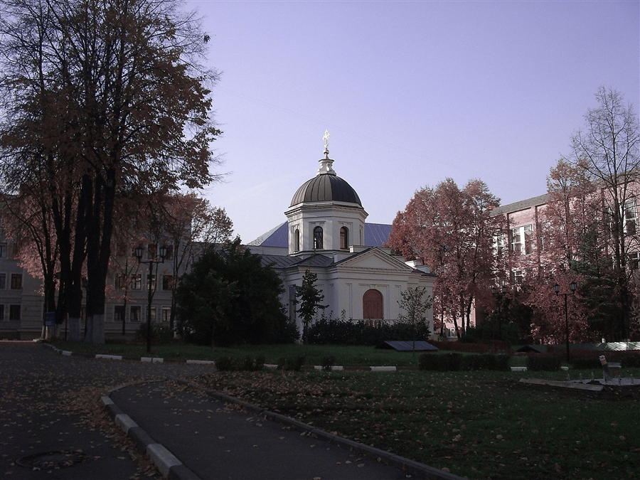 Фото жизнь