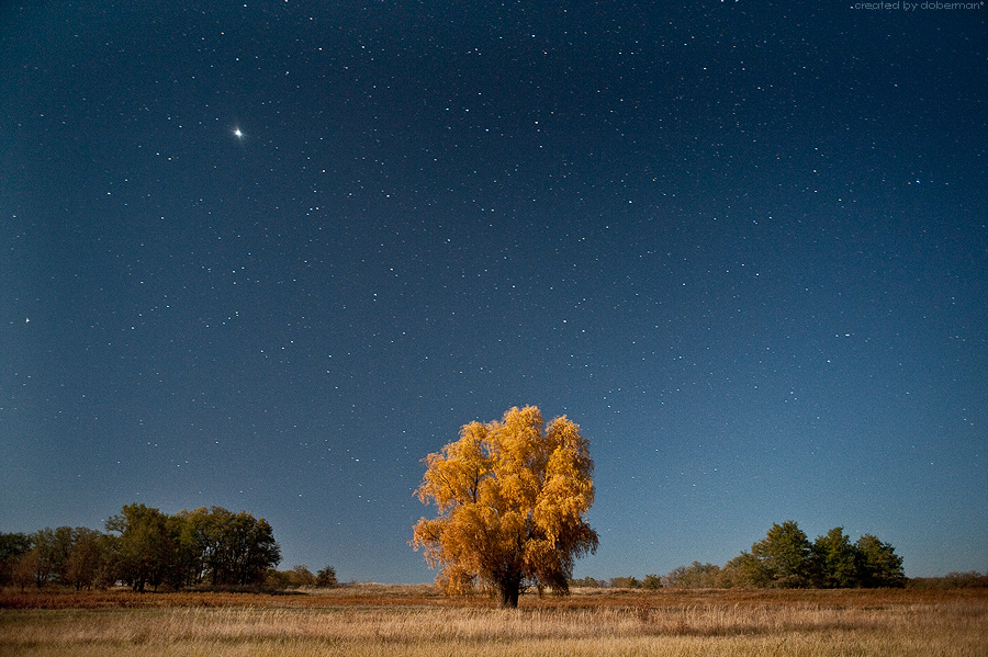 Фото жизнь (light) - Денис Богомолов - Landscapes - Осенние звезды