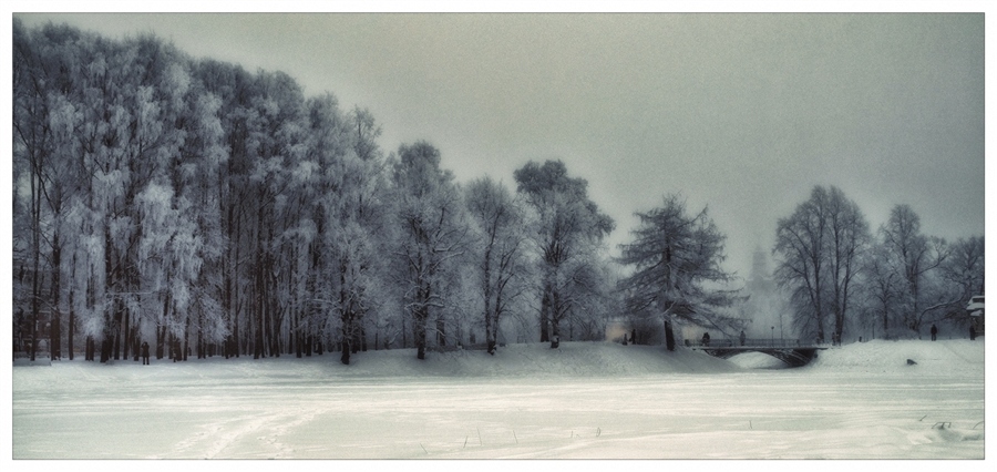 Фото жизнь