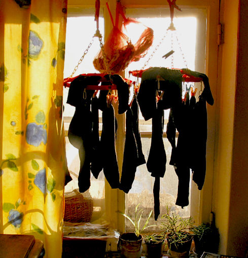 Фото жизнь - Аркадий - Черный Пес Петербург - Окно на кухне питерской коммуналки