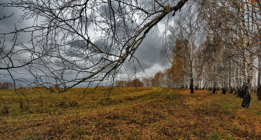 Фото жизнь (light) - Сергей Death - корневой каталог - *****