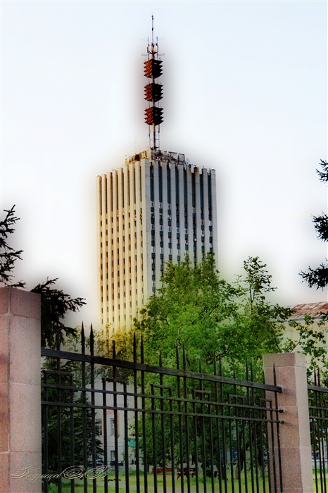 Фото жизнь