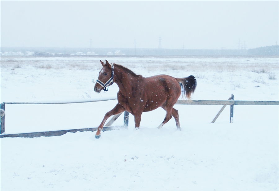 Фото жизнь